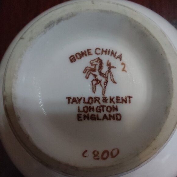 Rare Vintage Taylor & Kent Longton Floral with Black Background Tea Cup & Saucer - Picture 5 of 5